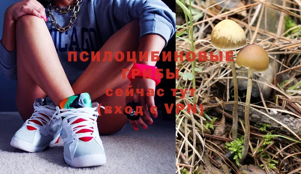 бошки Абаза