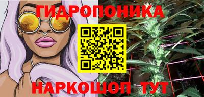 стафф Сланцы