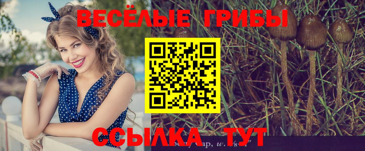 Галлюциногенные грибы GOLDEN TEACHER Новочеркасск