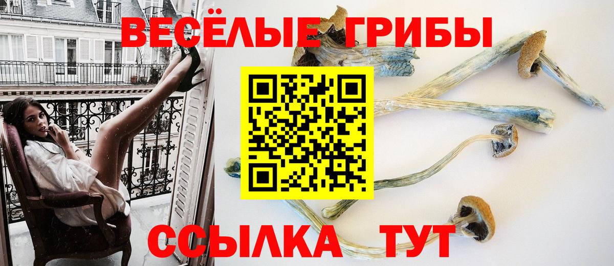 Псилоцибиновые грибы Cubensis  Вход с VPN  Новочеркасск 